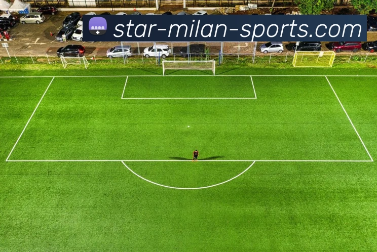 米兰官网平台生态图